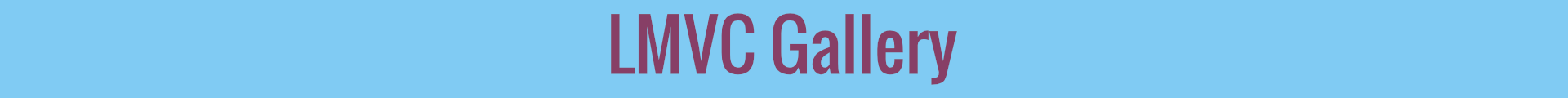 LMVC Gallery